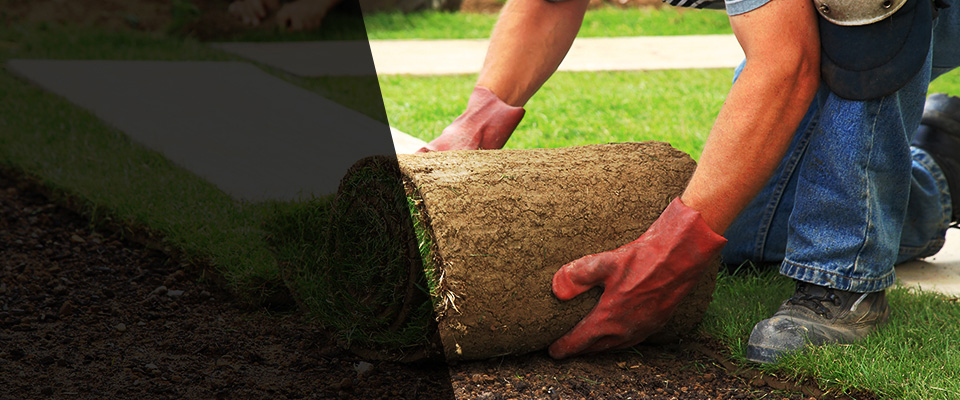 Clarence Center Landscapers